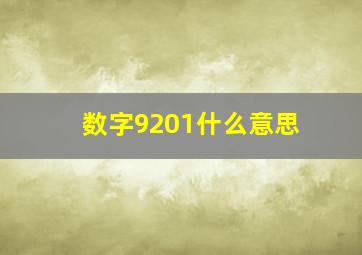 数字9201什么意思