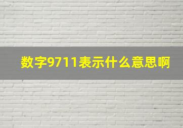 数字9711表示什么意思啊