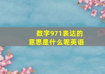 数字971表达的意思是什么呢英语