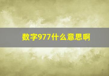 数字977什么意思啊