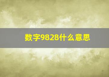 数字9828什么意思