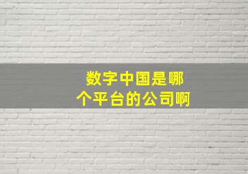 数字中国是哪个平台的公司啊