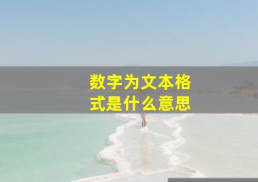 数字为文本格式是什么意思