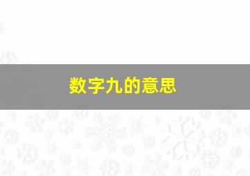 数字九的意思