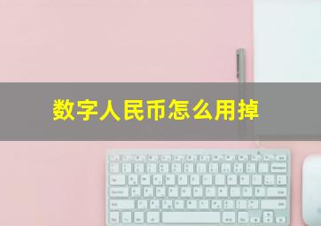 数字人民币怎么用掉