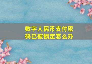 数字人民币支付密码已被锁定怎么办