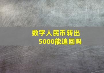 数字人民币转出5000能追回吗