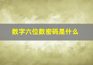 数字六位数密码是什么