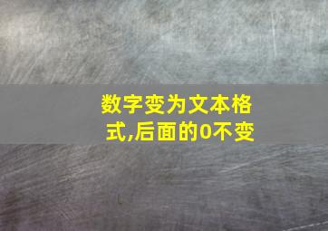 数字变为文本格式,后面的0不变