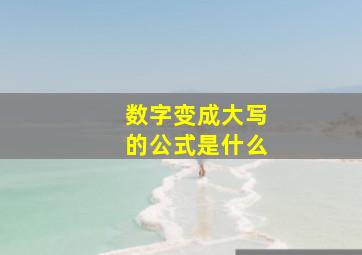 数字变成大写的公式是什么