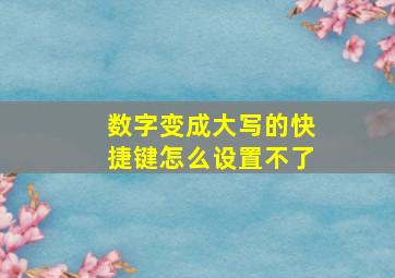 数字变成大写的快捷键怎么设置不了