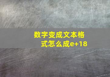 数字变成文本格式怎么成e+18