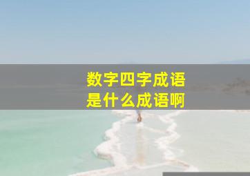 数字四字成语是什么成语啊