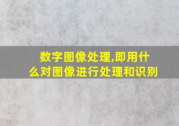 数字图像处理,即用什么对图像进行处理和识别