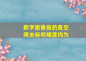 数字图像指的是空间坐标和幅度均为