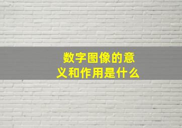 数字图像的意义和作用是什么