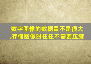 数字图像的数据量不是很大,存储图像时往往不需要压缩