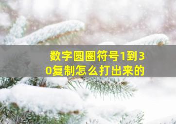 数字圆圈符号1到30复制怎么打出来的