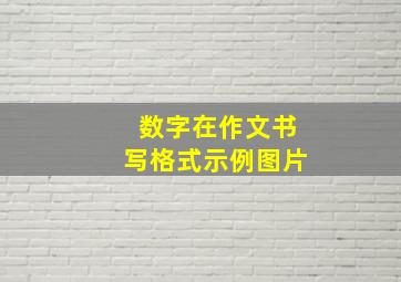 数字在作文书写格式示例图片