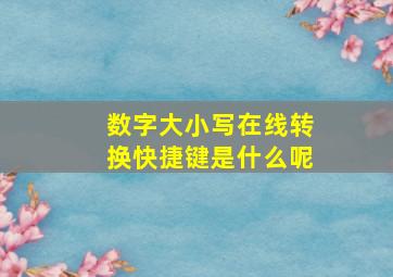 数字大小写在线转换快捷键是什么呢