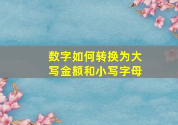 数字如何转换为大写金额和小写字母