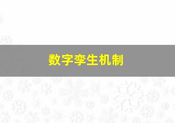 数字孪生机制