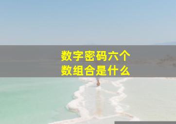 数字密码六个数组合是什么