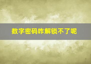 数字密码咋解锁不了呢