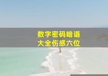 数字密码暗语大全伤感六位