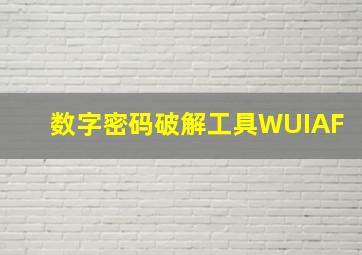 数字密码破解工具WUIAF