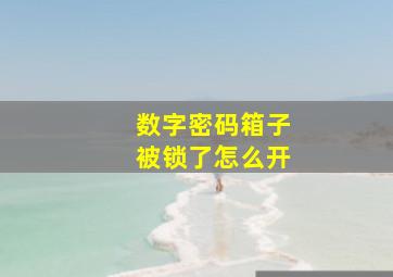 数字密码箱子被锁了怎么开