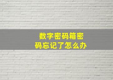 数字密码箱密码忘记了怎么办