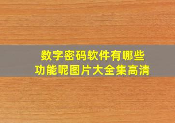 数字密码软件有哪些功能呢图片大全集高清