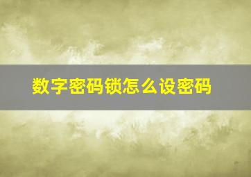 数字密码锁怎么设密码