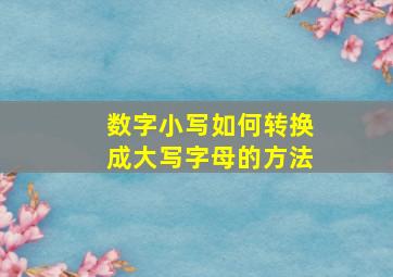 数字小写如何转换成大写字母的方法