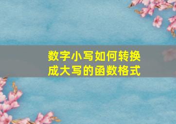 数字小写如何转换成大写的函数格式