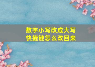 数字小写改成大写快捷键怎么改回来