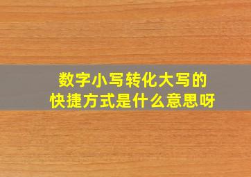 数字小写转化大写的快捷方式是什么意思呀