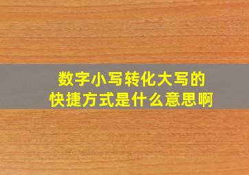 数字小写转化大写的快捷方式是什么意思啊