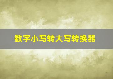 数字小写转大写转换器