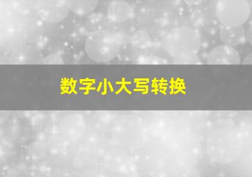 数字小大写转换