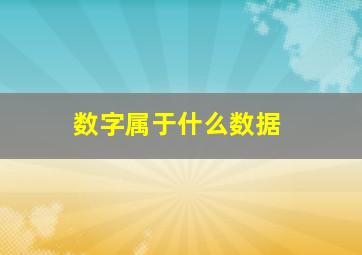 数字属于什么数据