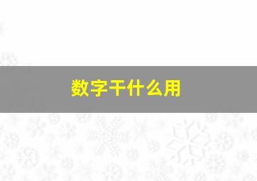 数字干什么用