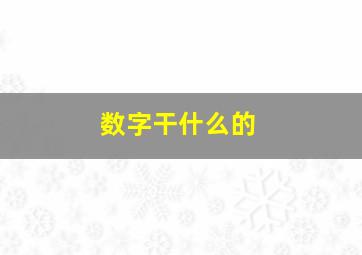 数字干什么的