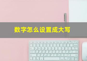 数字怎么设置成大写