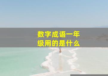 数字成语一年级用的是什么