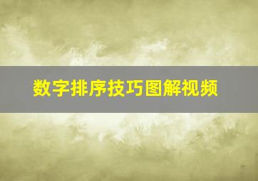 数字排序技巧图解视频