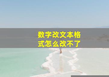 数字改文本格式怎么改不了