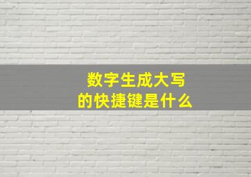 数字生成大写的快捷键是什么