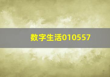 数字生活010557